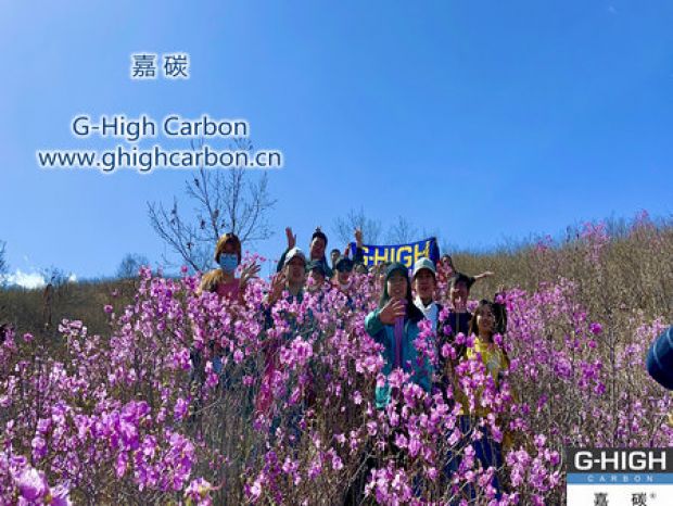 山野映山紅遍，嘉碳不負(fù)春光