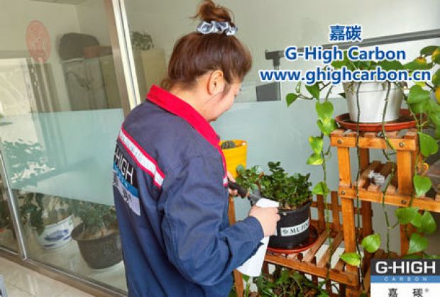 午休時(shí)光種花忙，美化辦公環(huán)境添綠意